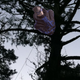 Illustration for article titled Very Tall Tree Wins Free Copy of emMass Effect 3/em